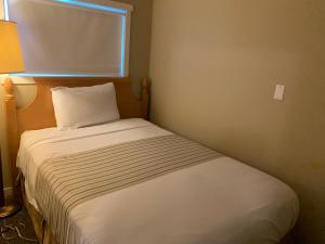 a small bed in a room with a window at Okanagan Royal Park Inn by Elevate Rooms in Vernon