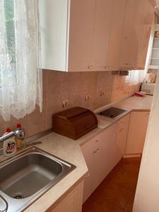 uma cozinha com um lavatório e uma bancada em Apartman Pejica em Čačak