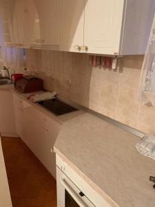 Cuina o zona de cuina de Apartman Pejica