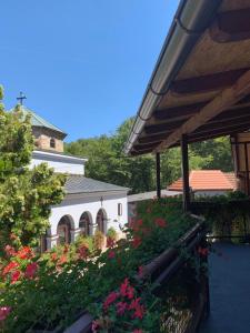Jardí fora de Apartman Pejica