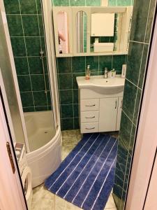 y baño con lavabo, ducha y alfombra azul. en Apartman Pejica, en Čačak