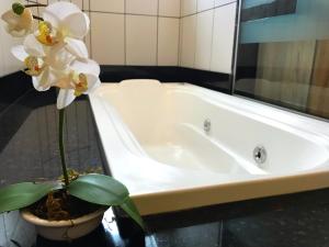 a white bath tub with a plant in a bathroom at Aki Hotel in Cáceres