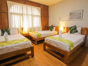 Gallery image of Hotel Daylu in Iquitos