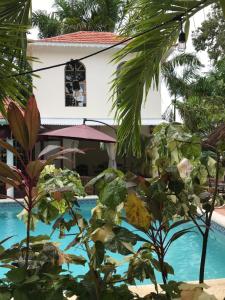 Bazen v nastanitvi oz. blizu nastanitve Rayon Hotel