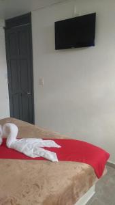 una camera con letto e TV a schermo piatto a parete di HOTEL EL EDEN IXTAPALUCA a Ixtapaluca