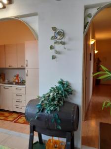 Fotografia z galérie ubytovania B&B MISTRAL di Lizzio Salvatore v destinácii Giarre + 37 fotografií