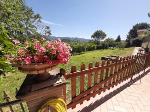 a pot of pink flowers on a wooden fence at Villa Pacchini Wellness & Relax Retreat in Poggio Mirteto