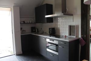 een keuken met roestvrijstalen apparatuur en zwarte kasten bij De Rheezermars in Rheeze