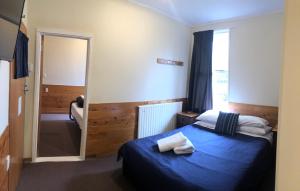 1 dormitorio con cama azul y espejo en Pukenui Lodge, en National Park
