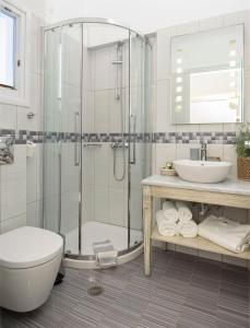 a bathroom with a shower and a toilet and a sink at Vigla Hotel in Aegiali
