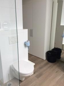 Bilik mandi di Gîte Citadin Athois
