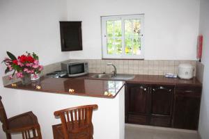 a kitchen with a counter with a sink and a microwave at Bord Mer Villa in Beau Vallon