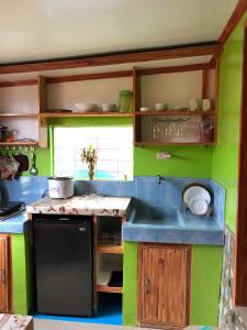 MagdiwangALERTA ROOFTOP LODGE的厨房设有绿色的墙壁和蓝色的台面