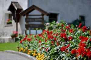 a garden of flowers in front of a house at Müllnerbauer in Napplach