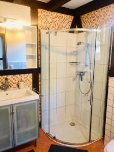 a bathroom with a shower and a sink at Pferdehof Schorfheide in Schorfheide