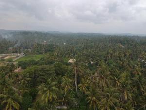A bird's-eye view of Mellow Hostel Sri Lanka