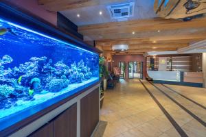 an aquarium in the middle of a room with a hallway at Hotel Badura in Wadowice
