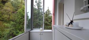 滨海自由城Vue mer exceptionnelle entre Nice et Monaco的相册照片