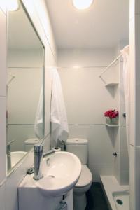 La salle de bains est pourvue d'un lavabo, de toilettes et d'un miroir. dans l'établissement Apartamento Playa Victoria Cadiz, à Cadix