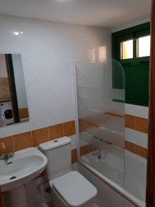 a bathroom with a toilet and a sink and a shower at Apartamento en Caleta Paraíso. in Costa de Antigua