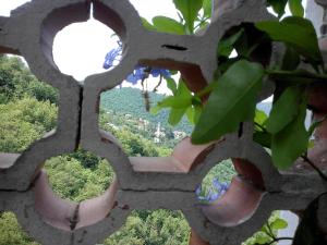 einen Blick durch ein Loch in einer Steinmauer mit einem Baum in der Unterkunft B&B I Glicini in Vescina