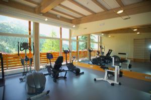 Fitness centrum a/nebo fitness zařízení v ubytování Hotel Zebru