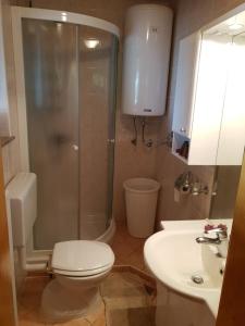 a bathroom with a toilet and a shower and a sink at Vineyard Cottage Urban in Mirna