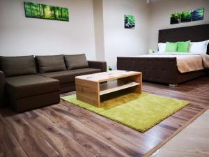 a living room with a couch and a bed at Irina Apartments in Timişoara