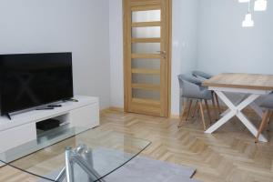 Televízia a/alebo spoločenská miestnosť v ubytovaní AMN APARTMENTS