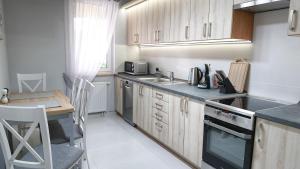 Kuchyňa alebo kuchynka v ubytovaní AMN APARTMENTS