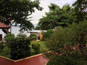 Elle offre une vue sur un jardin planté de fleurs et d'arbres. dans l'établissement Eagles Nest Beach Resort, à Davao