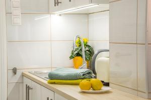 a kitchen with a sink and some lemons on a counter at Harrison(e) in Budapest