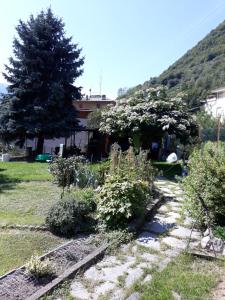 un giardino con cespugli e un albero e una casa di Tirano in relax a Tirano