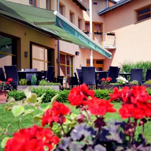 Zahrada ubytování Hotel S-centrum