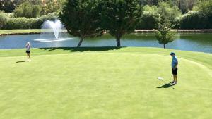 Golf pri apartmáne alebo okolí