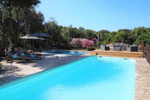 a swimming pool with chairs and an umbrella at Résidence Sophia in Bonifacio