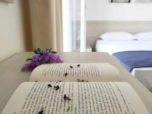 Vigna Marina Hotel