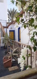a house with a blue door and some white flowers at Neptune Hotel in Dahab