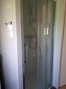 a shower with a glass door in a bathroom at De Bijsselse Enk, Noors chalet 3 in Nunspeet