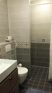a bathroom with a toilet and a sink at B&B d'n Uilenhof Haren in Haren