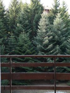a wooden fence in front of some christmas trees at Il Balcone Delle Alpi in Sauze dʼOulx
