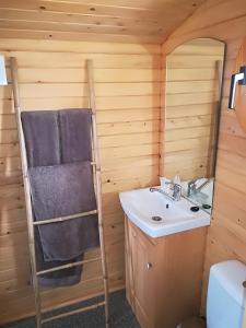 Centre équestre d'Azay le Rideau tesisinde bir banyo