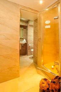 a bathroom with a shower and a toilet at Windermere Boutique Hotel in Windermere