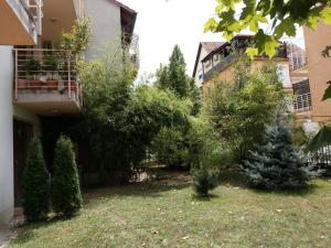 Zahrada ubytování Mandarin Wellness Apartman