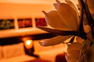 Katil atau katil-katil dalam bilik di Hotel Kahvé