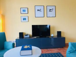TV/Unterhaltungsangebot in der Unterkunft Villa Sanddorn