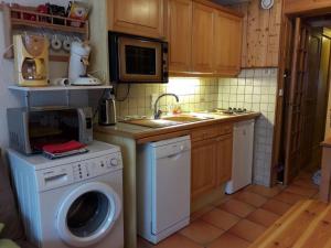 cocina con lavadora y microondas en Le Panda, en Les Carroz d'Araches