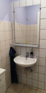 a bathroom with a white sink and a mirror at Dorfstraße 21 Ferienwohnung 3 in Schwielowsee
