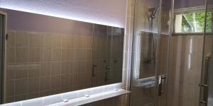 a bathroom with a shower and a mirror at Dorfstraße 21 Ferienwohnung 3 in Schwielowsee +13 photos