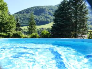 een groot blauw zwembad met bomen en bergen op de achtergrond bij Gasthof Eisentor in Losenstein
